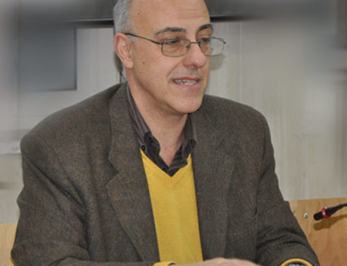 Diversità nella continuità dell’Arte